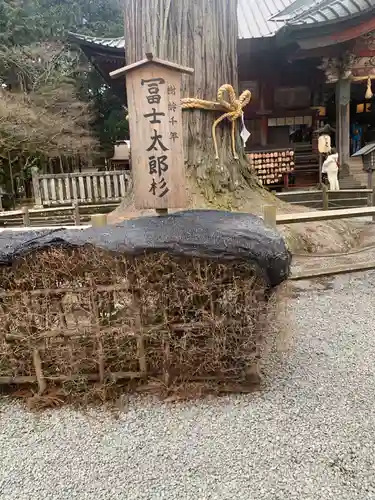 北口本宮冨士浅間神社(山梨県)