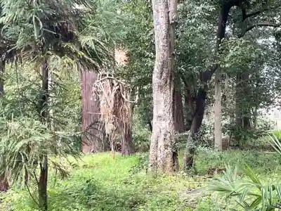 金山神社(滋賀県)