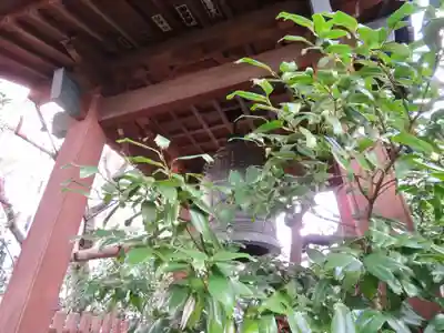 源覚寺のその他建物