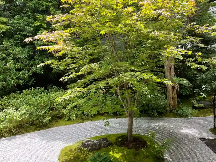霊源院(京都府)
