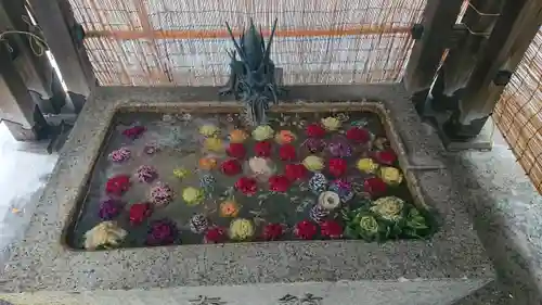 札幌諏訪神社の手水