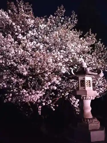 龍華寺(神奈川県)