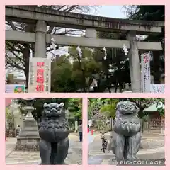 鳩森八幡神社(東京都)