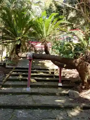 御崎神社の{uncategorized: "未分類", other: "その他", undefined: "問題あり", building: "その他建物", grave: "お墓", sacred_gate: "鳥居", guardian: "狛犬", statue: "像", buddha: "仏像", history: "歴史", nature: "自然", garden: "庭園", animal: "動物", pagoda: "塔", temizu: "手水舎", mountain_gate: "山門・神門", sanctuary: "本殿・本堂", subordinate: "末社・摂社", art: "芸術", scenery: "景色", jizo: "地蔵", ema: "絵馬", goshuin: "御朱印", omikuji: "おみくじ", items: "授与品その他", amulet: "お守り", goshuincho: "御朱印帳", eats: "食事", festival: "お祭り", votive_dance: "神楽", shichigosan: "七五三参", wedding: "結婚式", experience: "体験その他", initially: "初詣", around: "周辺", anti_infection: "感染症対策"}
