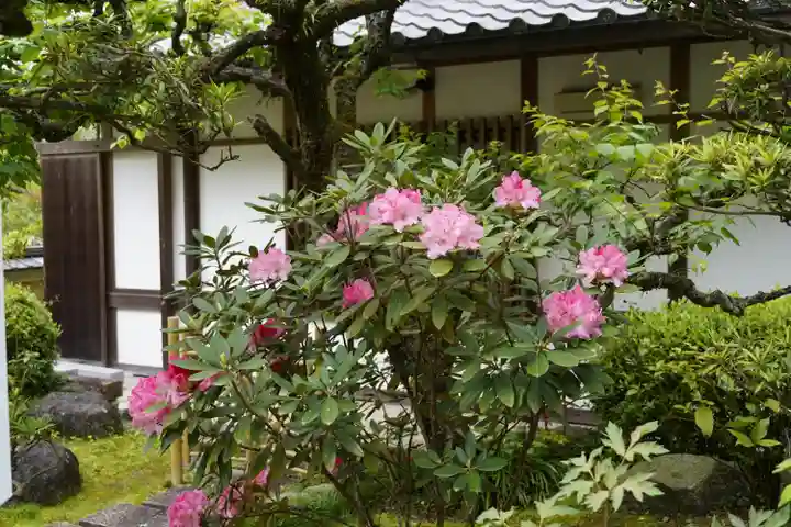岡寺(龍蓋寺)(奈良県)