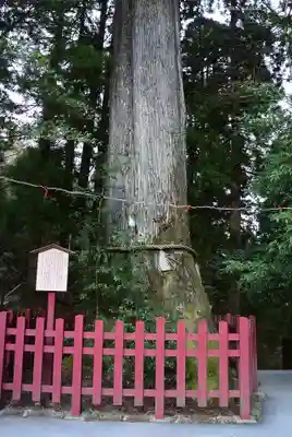箱根神社(神奈川県)