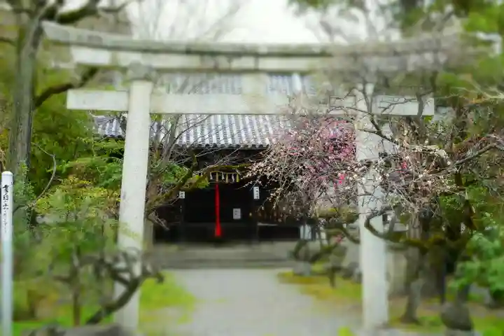 長浜八幡宮の鳥居