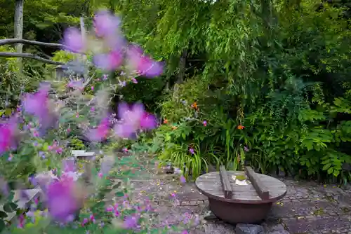 竜昌寺のその他建物