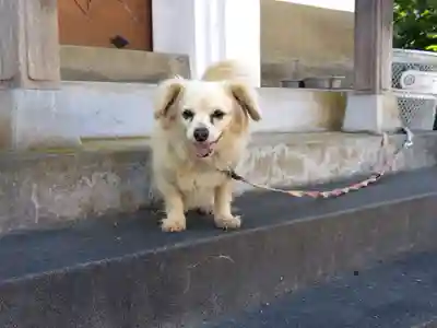 各願寺(富山県)