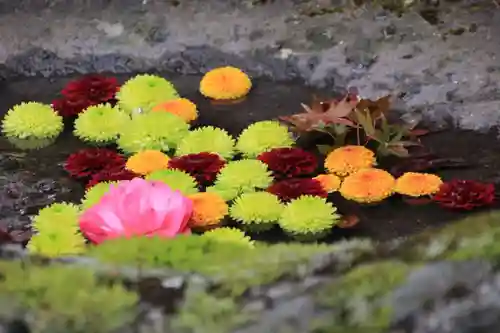 大鏑神社の手水