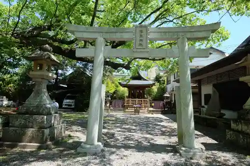 闘鶏神社の鳥居