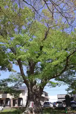 千勝神社(茨城県)