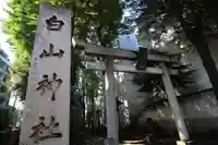 荻窪白山神社の鳥居