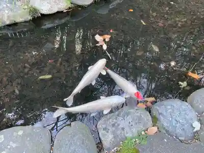 山名八幡宮(群馬県)