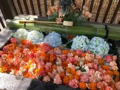豊平神社の手水舎