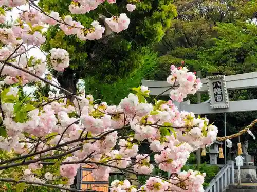 上地八幡宮の自然