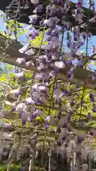 熊野神社の自然