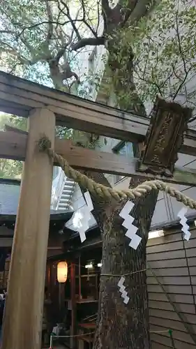 少彦名神社の鳥居