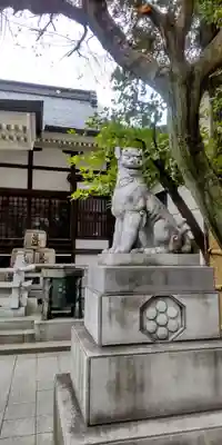 鳥越神社(東京都)