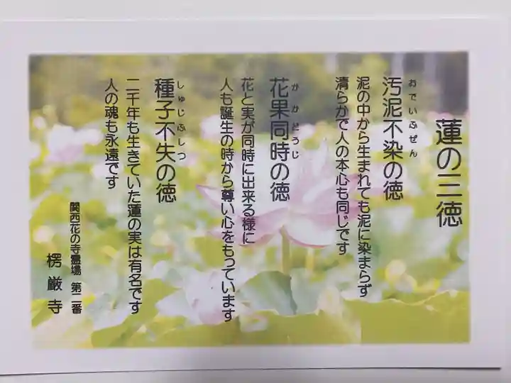 楞厳寺(京都府)