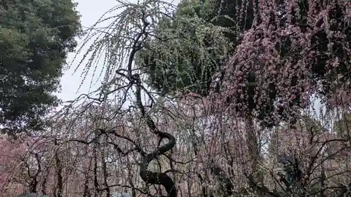 城南宮(京都府)