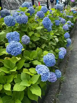 柳谷観音　楊谷寺(京都府)