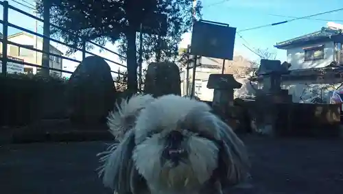 諏訪神社(山梨県)