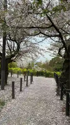 石清水八幡宮(京都府)
