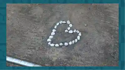 柏神社(千葉県)