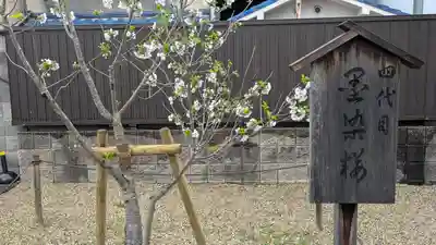 墨染寺（桜寺）(京都府)