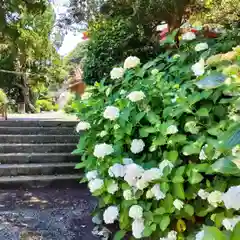 波立寺（波立薬師）の景色