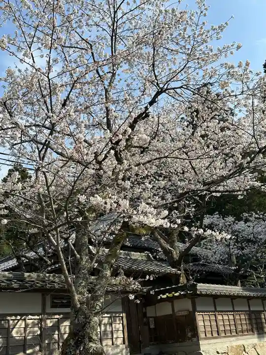 佐伎治神社(福井県)