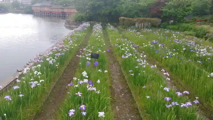 長岡天満宮の自然