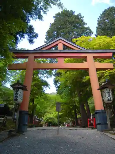 日吉大社の鳥居