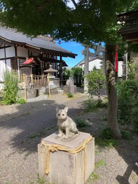阿豆佐味天神社 立川水天宮の狛犬