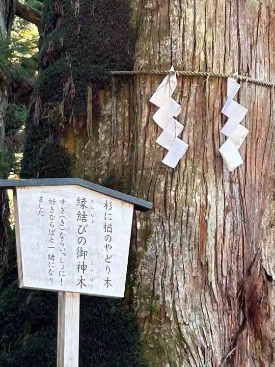 日光二荒山神社の自然