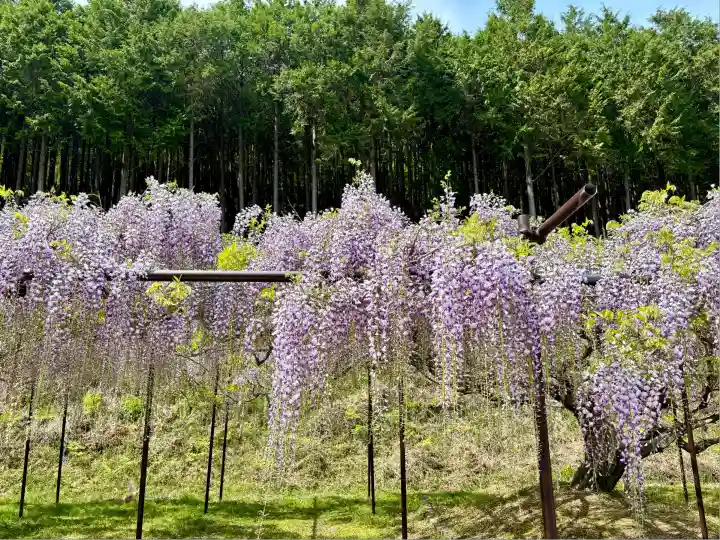 天台宗 五大山 白毫寺(兵庫県)