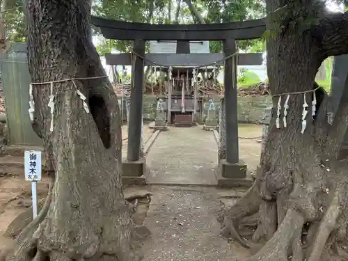三峯神社(千葉県)