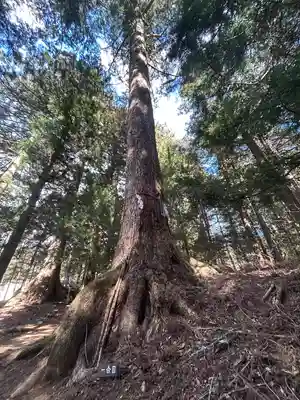 河口浅間神社(山梨県)