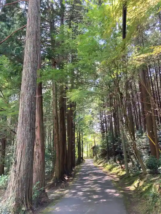 臨済寺のその他建物