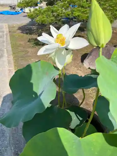 大光寺(大阪府)