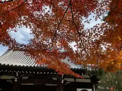 大正寺のその他建物