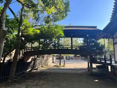 伊弉諾神宮(兵庫県)