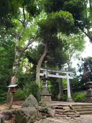 代々木八幡宮の鳥居