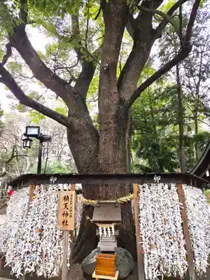 平塚八幡宮(神奈川県)