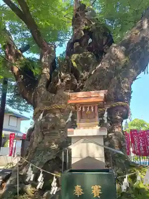 秩父今宮神社(埼玉県)