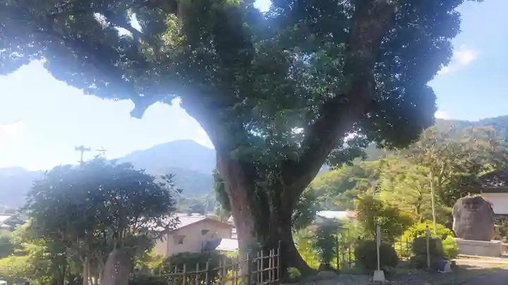 妙楽寺(山梨県)