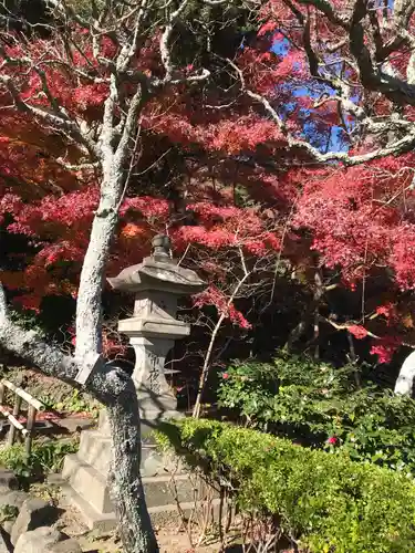 長谷寺の庭園