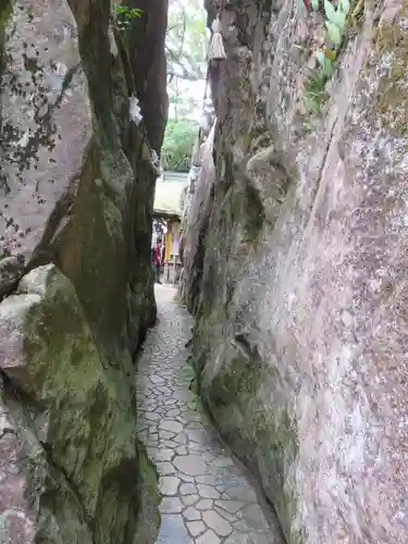 阿賀神社の自然
