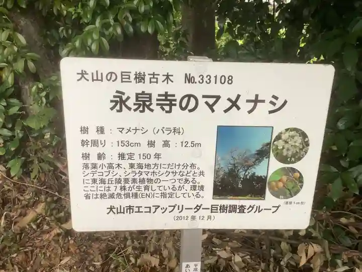 永泉寺(愛知県)